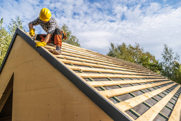 Roof Gutter Cleaning in Cape Canaveral, FL